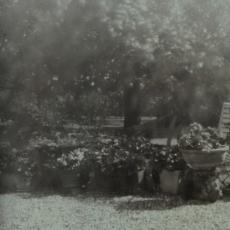 Jardin, tirage, sténopé, 2004.